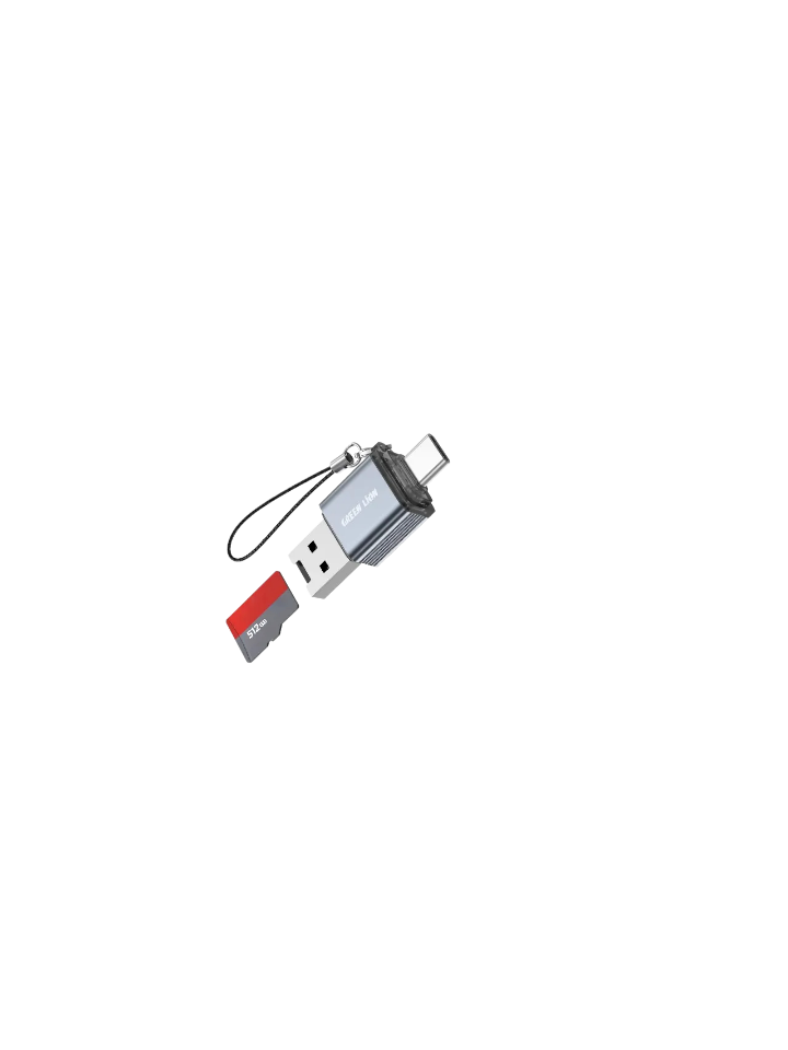 Green Lion 2 in 1 Card Reader with Micro SD Cards Support