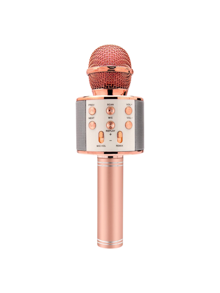 WS-858 Bluetooth Karaoke Microphone