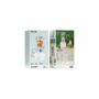 Green Lion Jet Blend juice blender used for making smoothies in a kitchen